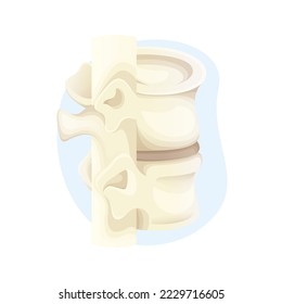 Spine structure. Human skeleton 3d vector 