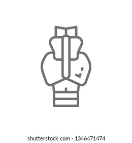 Spine, tailbone, sacrum, ilium, coccyx, ischium line icon.