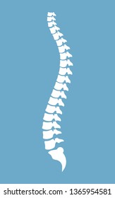 Spine vector design illustration isolated on blue background
