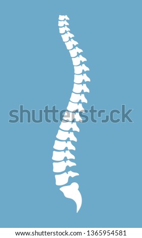 Spine vector design illustration isolated on blue background