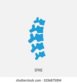 Spine vector icon. Spine diagnostics and therapy symbol