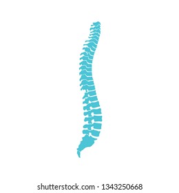 Spine vector icon. Spine diagnostics and therapy symbol