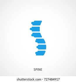 Spine Vector Icon. Spine Diagnostics And Therapy Symbol