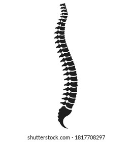 Spine vector icon on white background