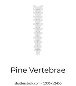 Spine Vertebrae, flat vector icon