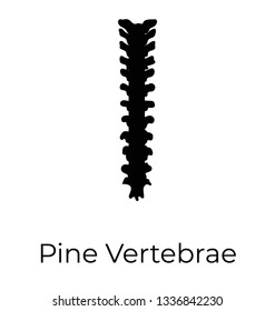 Spine vertebrae, glyph vector icon, 