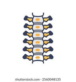 Spine and Vertebrae Medical Anatomy Icon