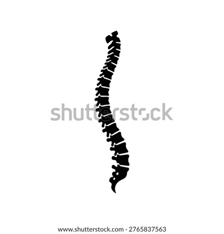 Spine vertebral column human anatomy illustration used in medical education and skeletal system study concept