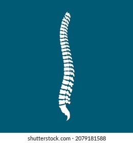 Spine. White human spine on blue background. Icon, clipart for website, app, booklet about medicine, health, osteopathy. Vector flat illustration, cartoon style.