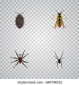 Spinner, Arachnid, Dor And Other Vector Elements. Set Of Insect Realistic Symbols Also Includes Wisp, Arachnid, Bug Objects.