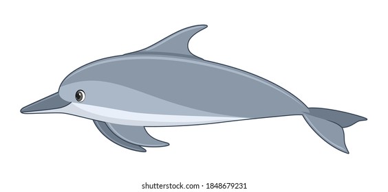 Spinner dolphin fish on a white background. Cartoon style vector illustration