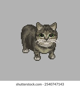 spinning cat, pixel art meme 