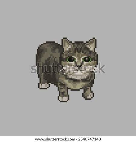 spinning cat, pixel art meme 