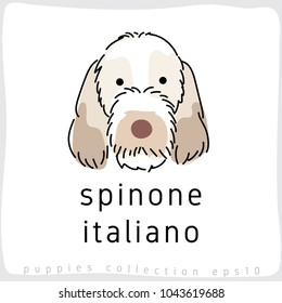 Spinone Italiano : Dog Breed Collection : Vector Illustration