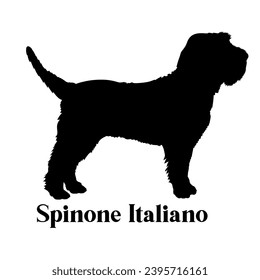 Spinone Italiano. Dog silhouette dog breeds dog monogram logo dog face vector