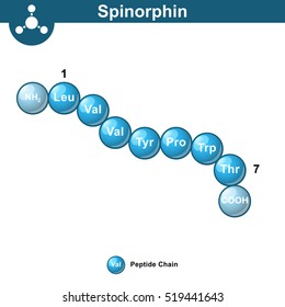 Spinorphin molecular structure, amino acid sequence, scientific 3d vector illustration in ball style, isolated on white background, eps 10