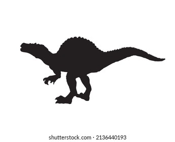 Spinosaurus , dinosaur on isolated background .