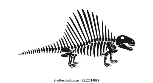 Spinosaurus Dinosaur skeleton Prehistoric Animal. Vector illustration