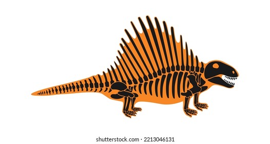 Spinosaurus Dinosaur skeleton Prehistoric Animal. Vector illustration