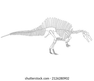 Spinosaurus dinosaur skeleton silhouette isolated on white background. vector illustration.