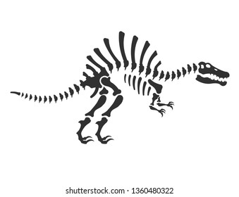 Spinosaurus Skeleton Images, Stock Photos & Vectors | Shutterstock
