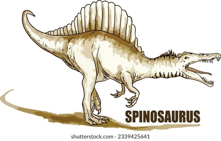 El Spinosaurus es un género de un gran dinosaurio terópodo carnívoro que vivió durante el periodo cretácico medio. Tenía una vela distintiva en la espalda, hocico largo y dientes afilados adaptados para cazar peces.