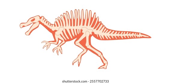 Spinosaurus prehistoric creature skeleton vector illustration