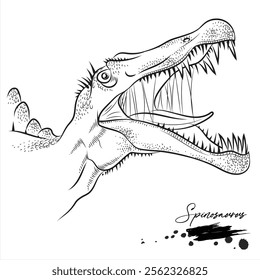 Spinosaurus, realistic sketch dinosaur, vector illustration
