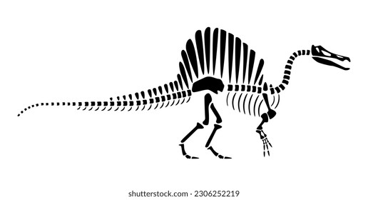 Spinosaurus skeleton . Silhouette dinosaurs . Side view . Vector .
