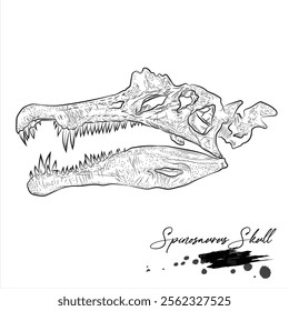 Spinosaurus Skull, realistic sketch dinosaur, vector illustration