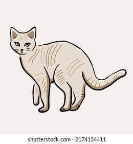 Ilustración del gato Spinx, gato lindo, ilustración del gato marrón, gato lindo espinx