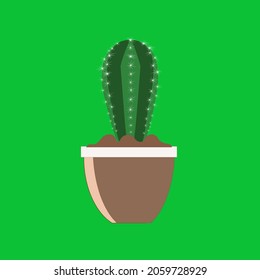 Spiny cactus in a brown pot