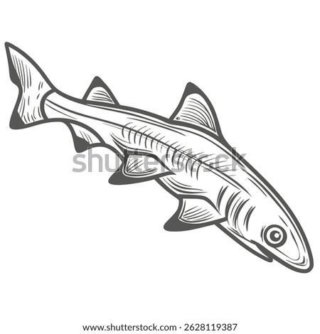 Spiny Dogfish Shark Vector Illustration