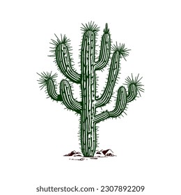 Spiny green cactus vector illustration. Prickly or thorny plant. Desert plants that are resistant to dry temperatures