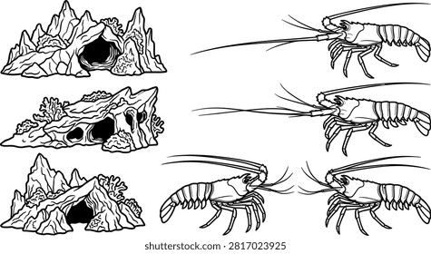 Spiny Lobster Habitat Vector Icon Set Featuring Linear Crustacean Outline Drawings and Underwater Coral Reef Caves Holes or Rocky Crevice Formations.eps
