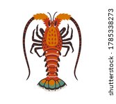 Spiny lobster, langouste or lobster or with long antennae and without claws. Simple Colorful vector illustration in flat cartoon style.