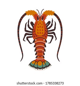 Spiny lobster, langouste or lobster or with long antennae and without claws. Simple Colorful vector illustration in flat cartoon style.