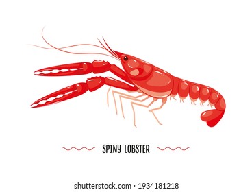 Spiny lobster profile prepared isolated on white background. Seafood. Vector illustration, icon, sign, simbol, log, sticker for poster, banner, label, packaging
