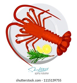 Spiny lobster with rosemary and lemon on the plate in cartoon style. Fresh spiny lobster. Seafood product design. Inhabitant wildlife of underwater world. Edible sea food. Vector illustration