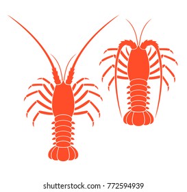 Spiny lobster set. Isolated spiny lobster on white background