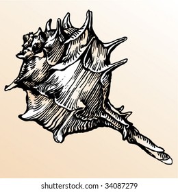 spiny shell