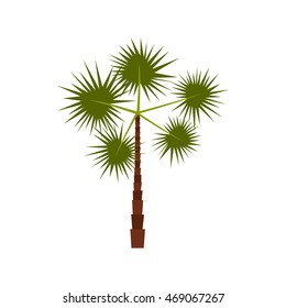 Spiny tropical palm tree icon in flat style isolated on white background. Flora symbol