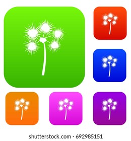 Spiny tropical palm tree set icon in different colors isolated vector illustration. Premium collection