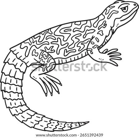Spiny-Tailed Lizard Isolated Coloring Page  Imagine de stoc © 
