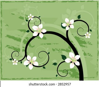Spiral branch with blossoms