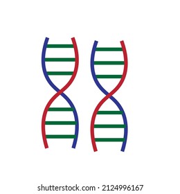 The spiral of chromosomes with genes - Biotechnology Illustration Vector 