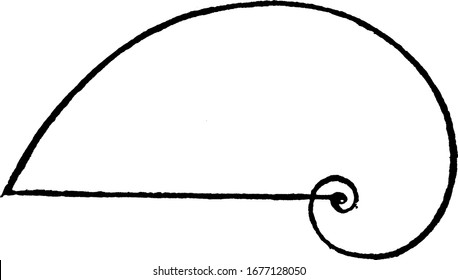 Spiral curve with distance from the start to end is mentioned by line segment, vintage line drawing or engraving illustration.