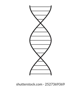 Spiral DNA Line Vector - 01