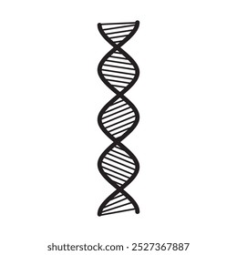 Spiral DNA Line Vector - 07