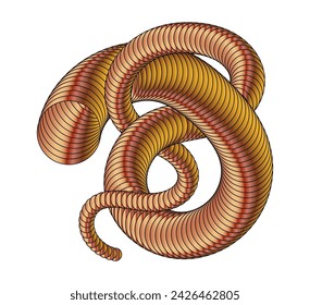 The spiral. The dynamic shape of the parallel lines creates the illusion of volume. A design element for creative ideas